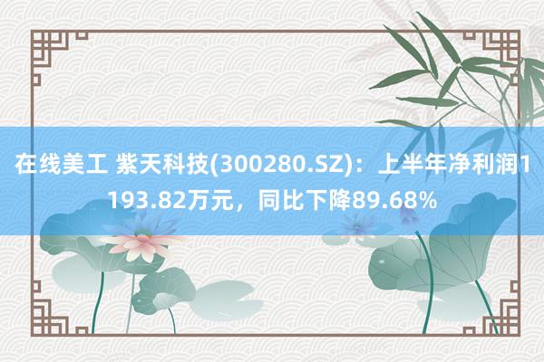 在线美工 紫天科技(300280.SZ)：上半年净利润1193.82万元，同比下降89.68%